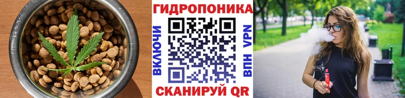 Canna-Cookies конопля  Купить закладки  Болотное 