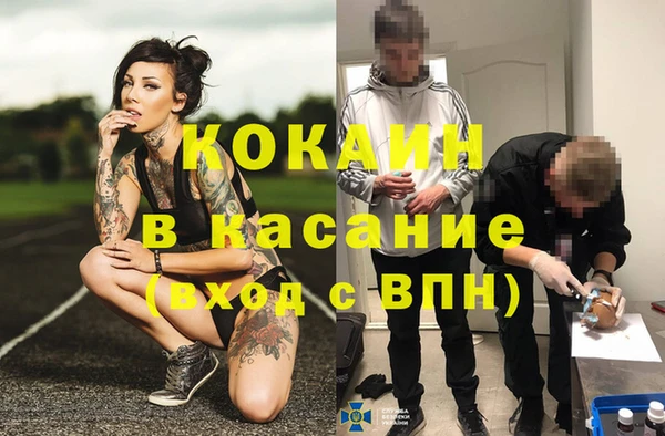 трава Бородино