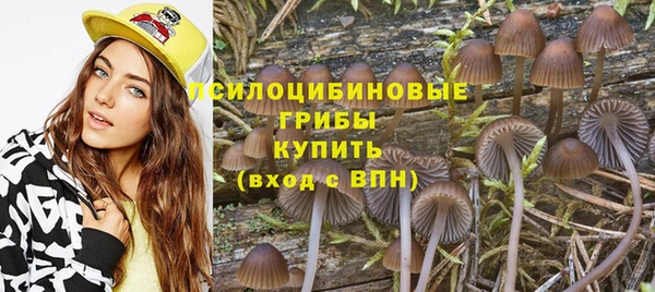 трава Бородино