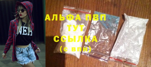 трава Бородино