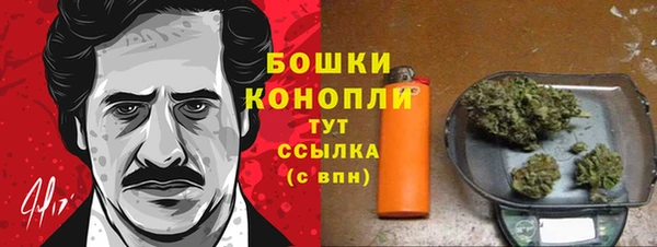 трава Бородино