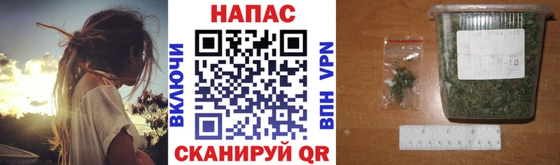 Купить где  Болотное  Шишки марихуана THC 21% 